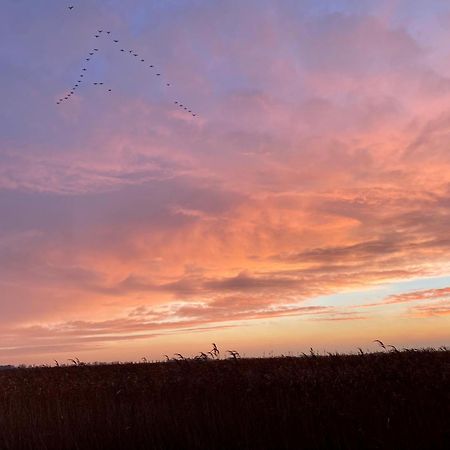 Deichkoje12 Direkt Am Eiderdeich Nur 7 Km Bis Zur Nordsee Und 20 Min Bis Sankt Peter Ording Toenning Exterior photo